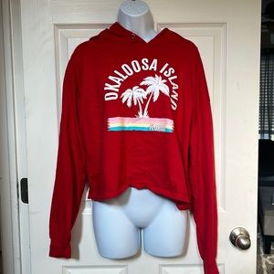 Southern Spirit Crop Top Hoodie